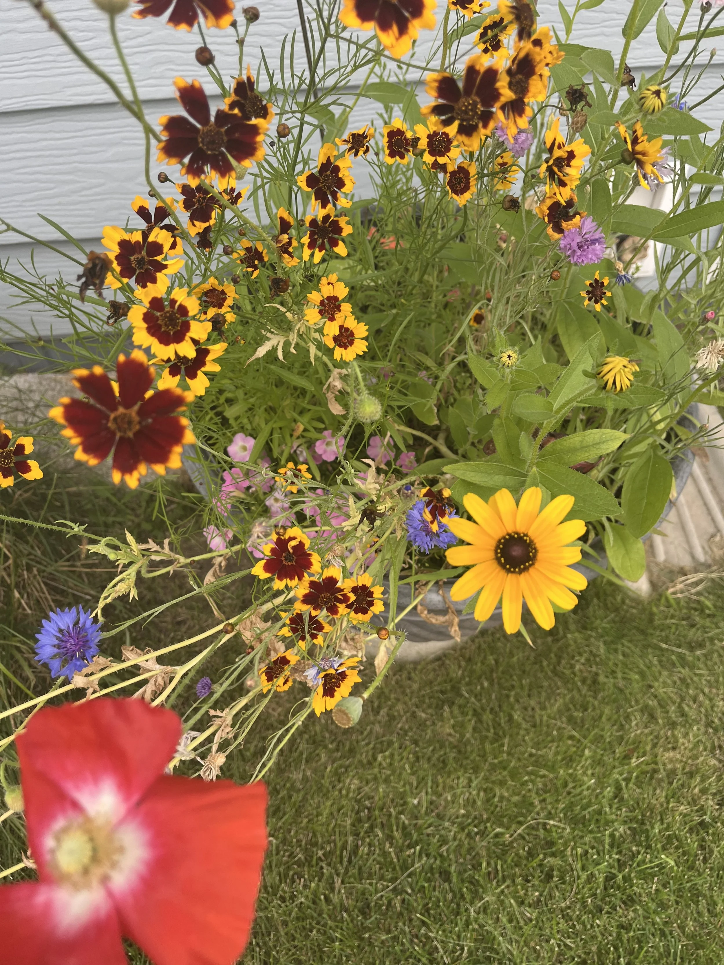 IMG_4732.jpeg