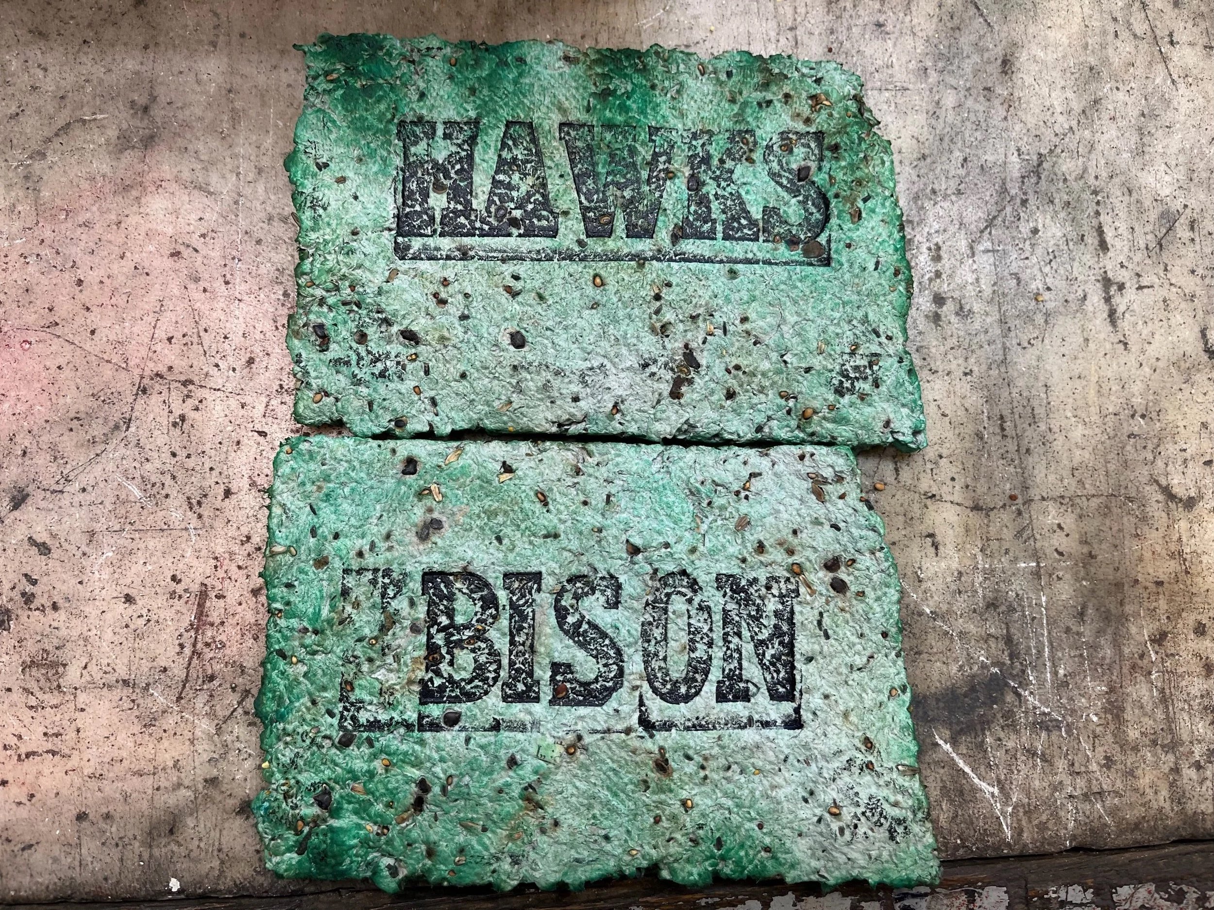 North Dakota shaped Seed Paper