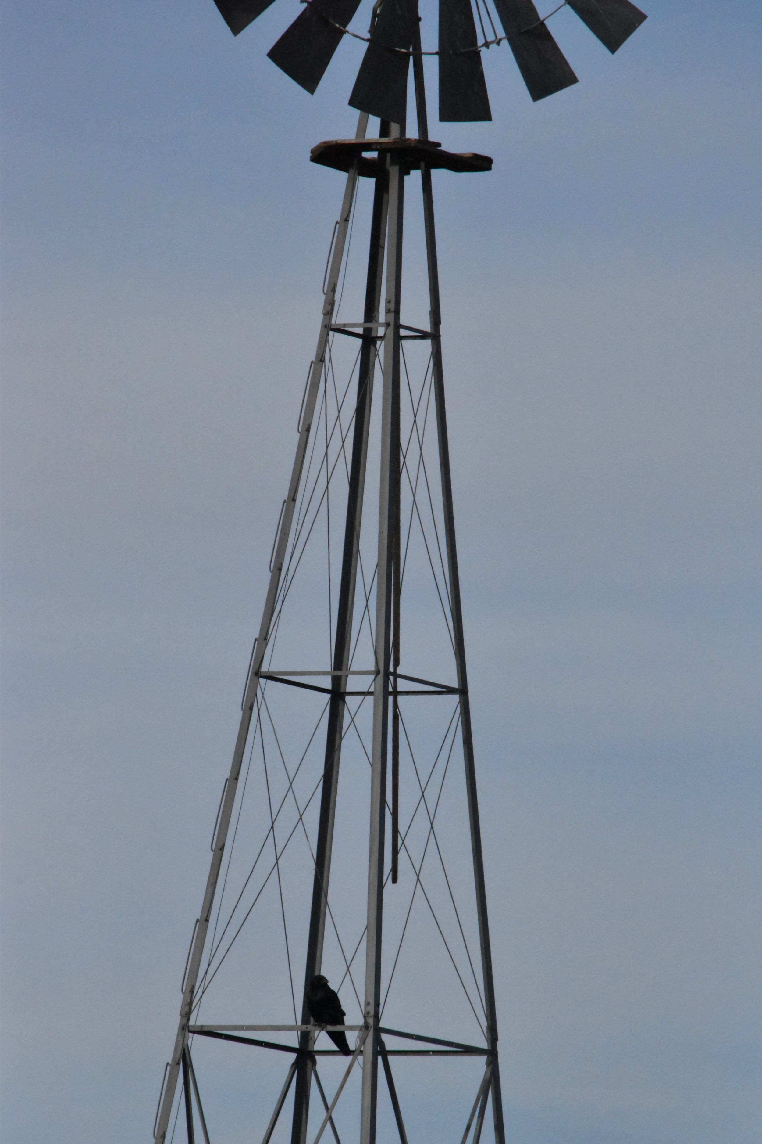 DSC_0450.jpeg