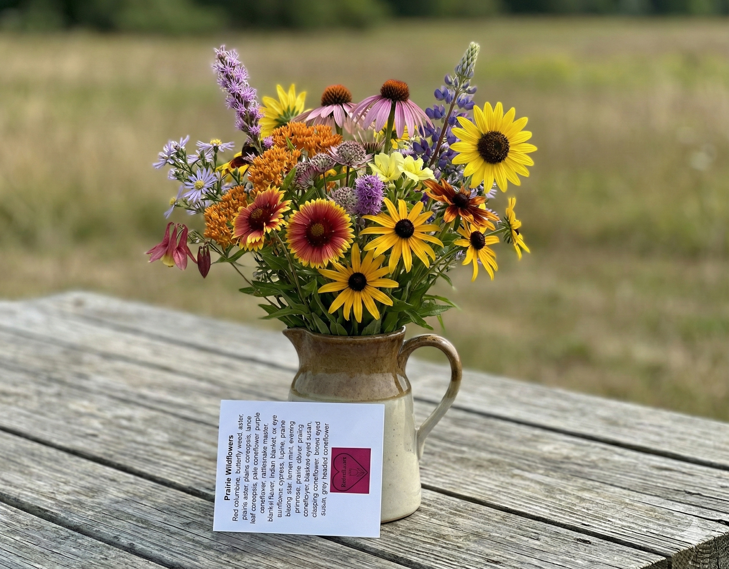 Prairie Wildflower Seeds