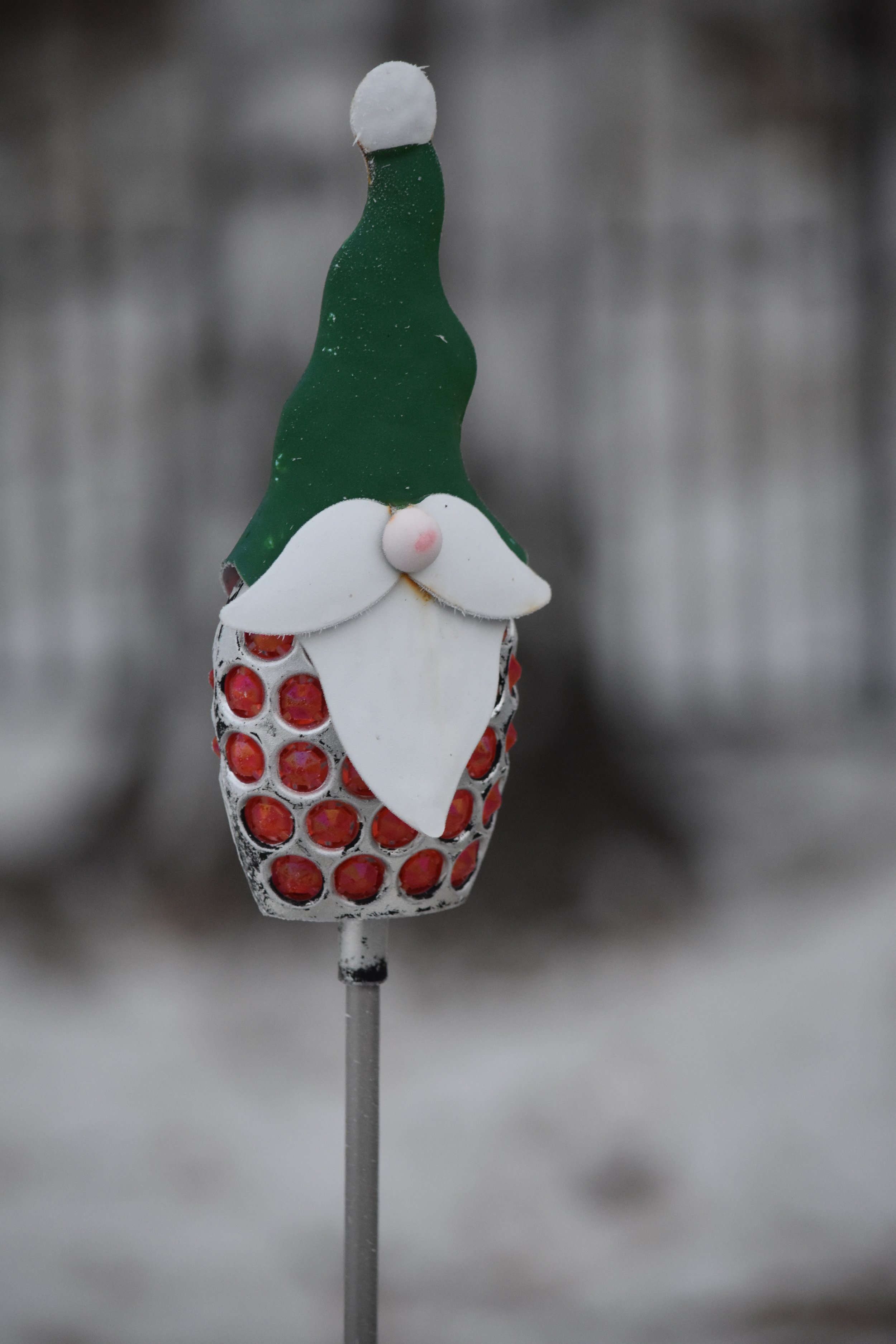 DSC_0217.jpeg