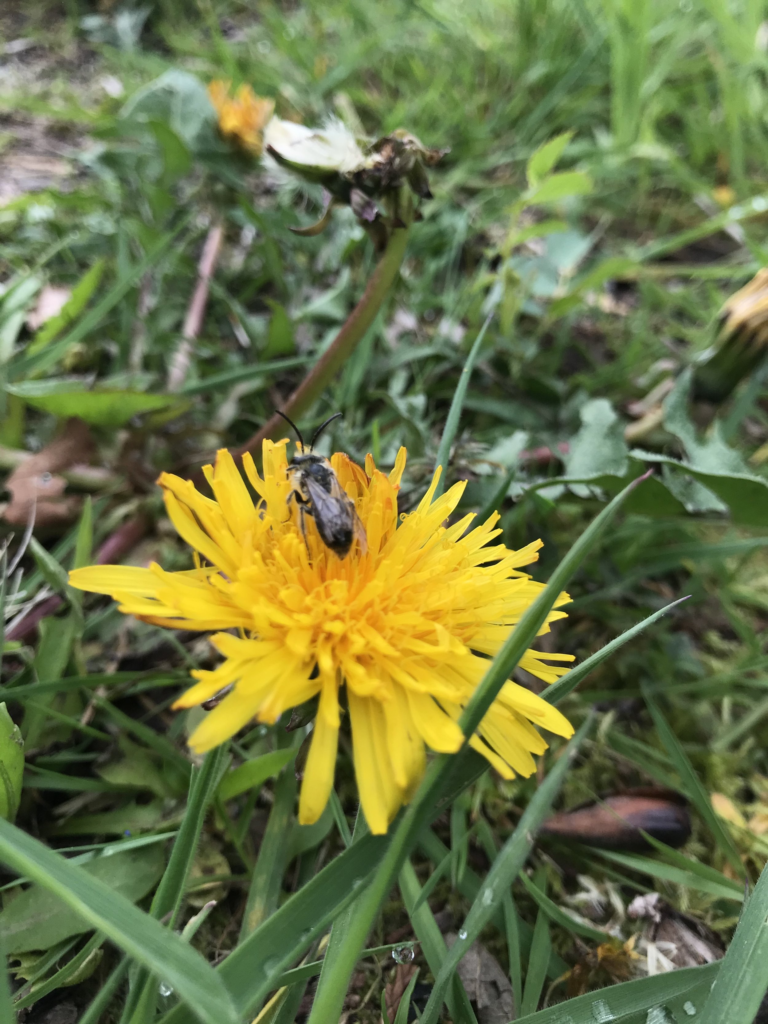 IMG_1959.jpeg