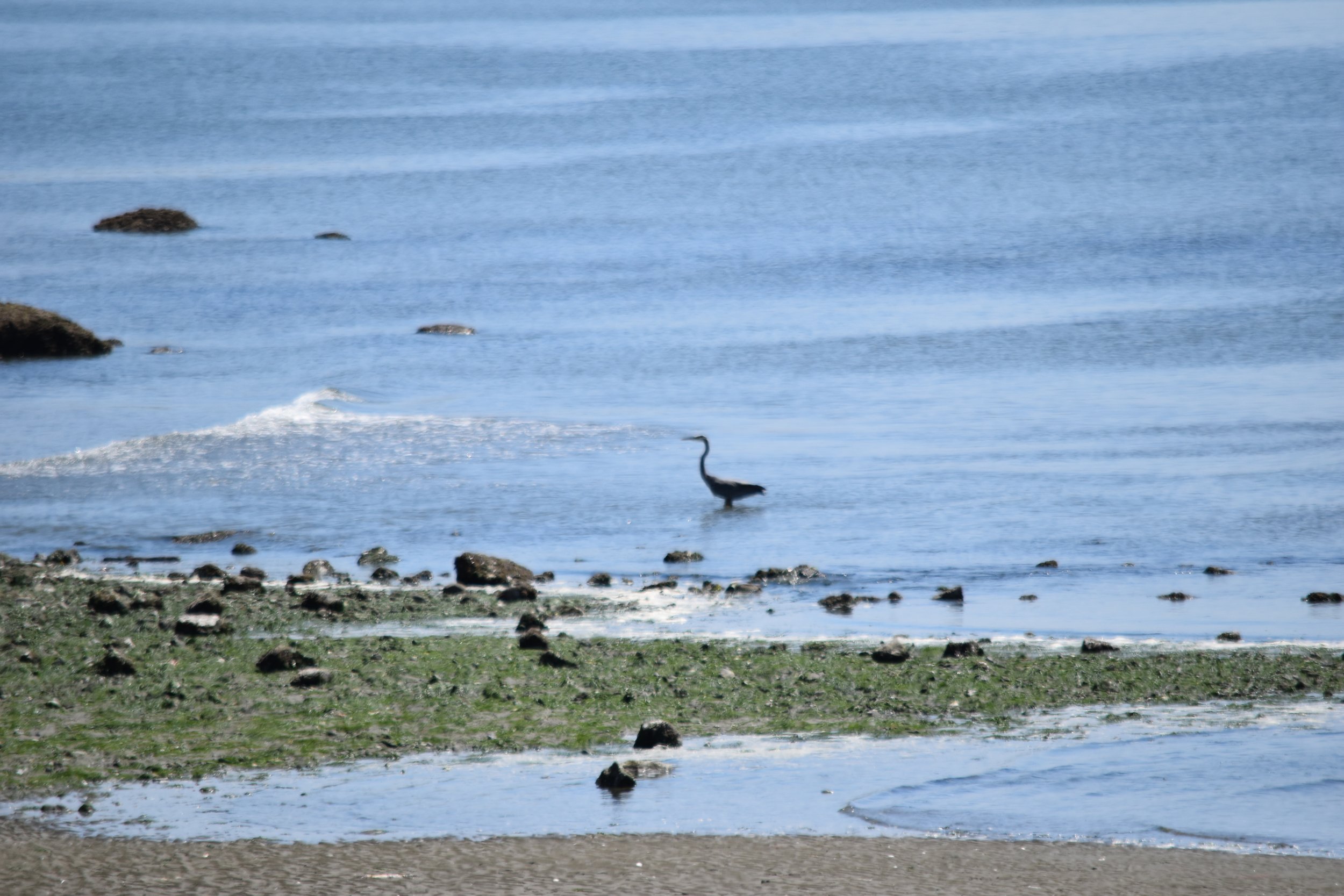 DSC_0716.jpeg