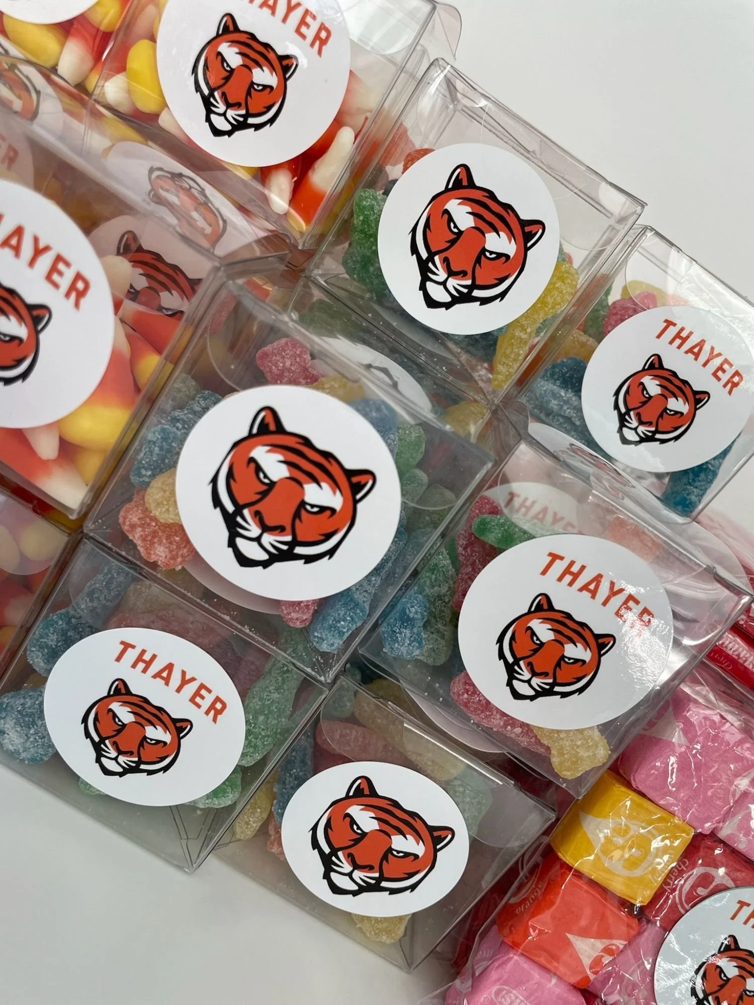 Clear plastic containers filled with colorful gum candies, each container decorated with a round sticker featuring a tiger's face and the word 'Thayer' in red.
