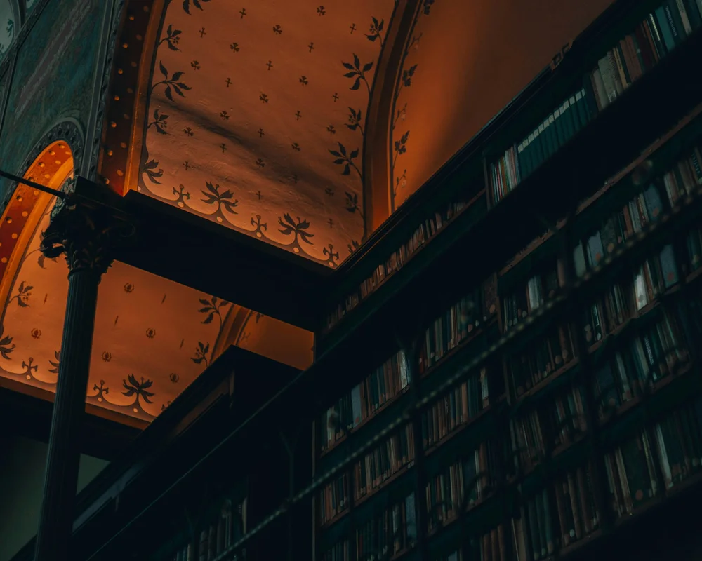 The Library After Dark — Ande Pliego