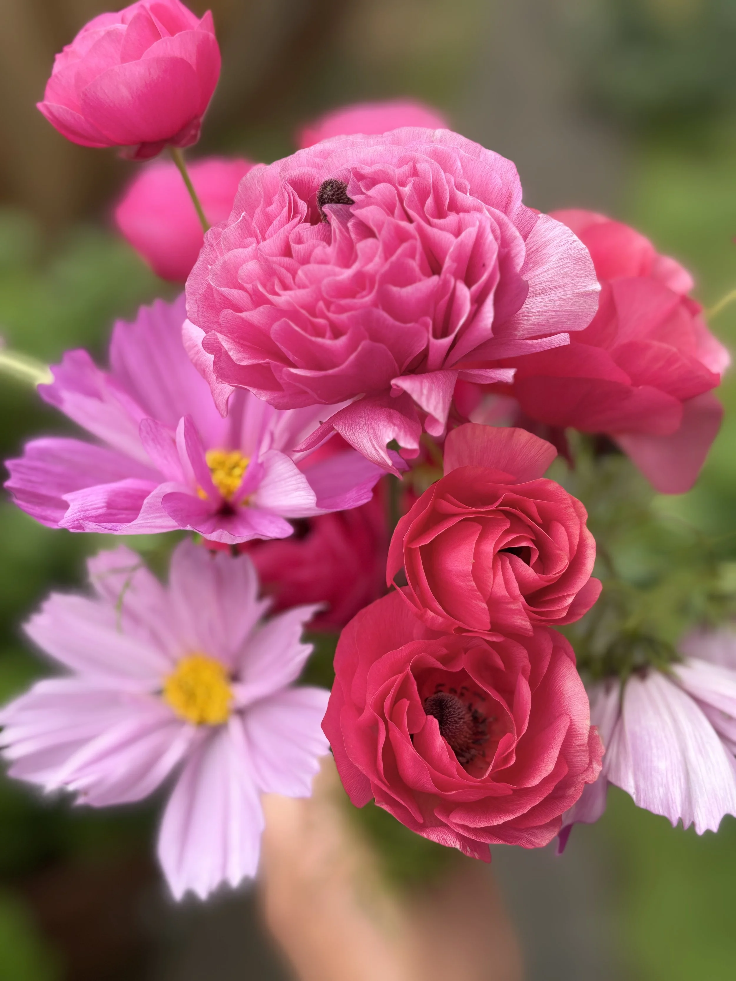 Close-up of a bouquet of pink and red flowers, including roses, with a blurred green background.
