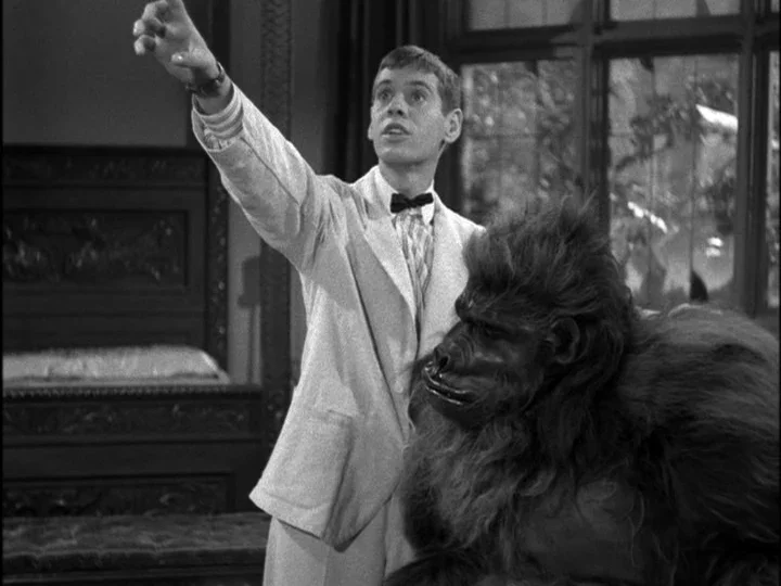 #295: Bela Lugosi Meets a Brooklyn Gorilla