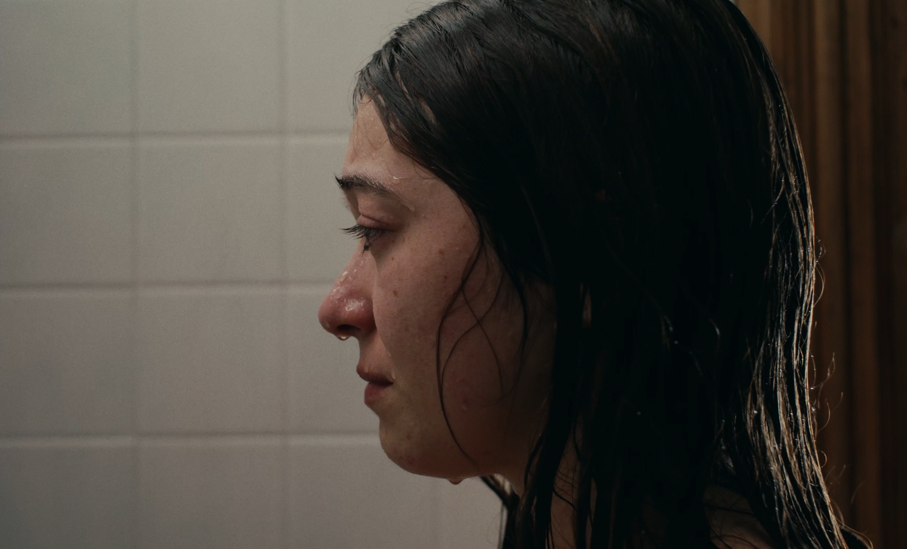 Still 2026-01-15 230216_1.56.1.T.PNG