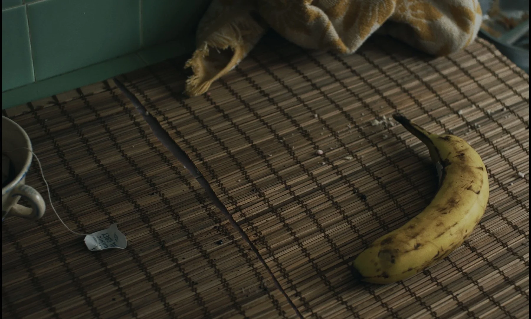 Still 2026-01-15 230216_1.9.1.T.jpg