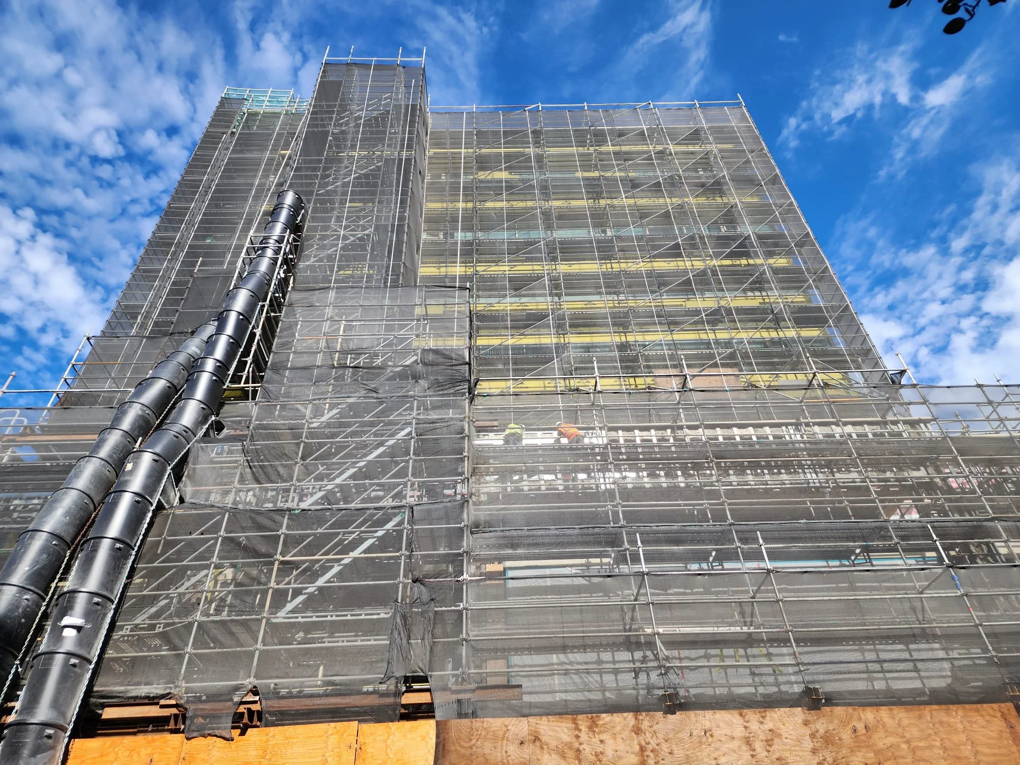 WhatsApp Image 2024-10-26 at 2.36.42 AM (1).jpg