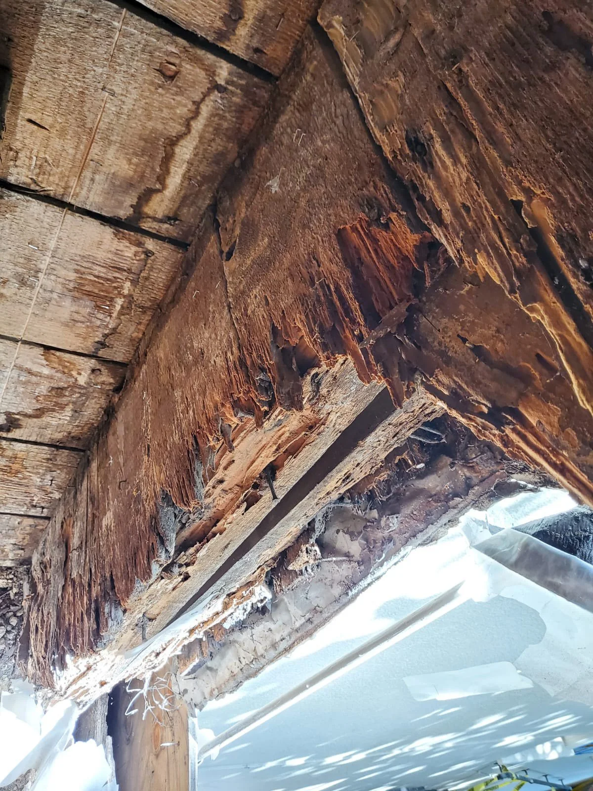 WhatsApp Image 2021-08-16 at 12.14.34 PM.jpg