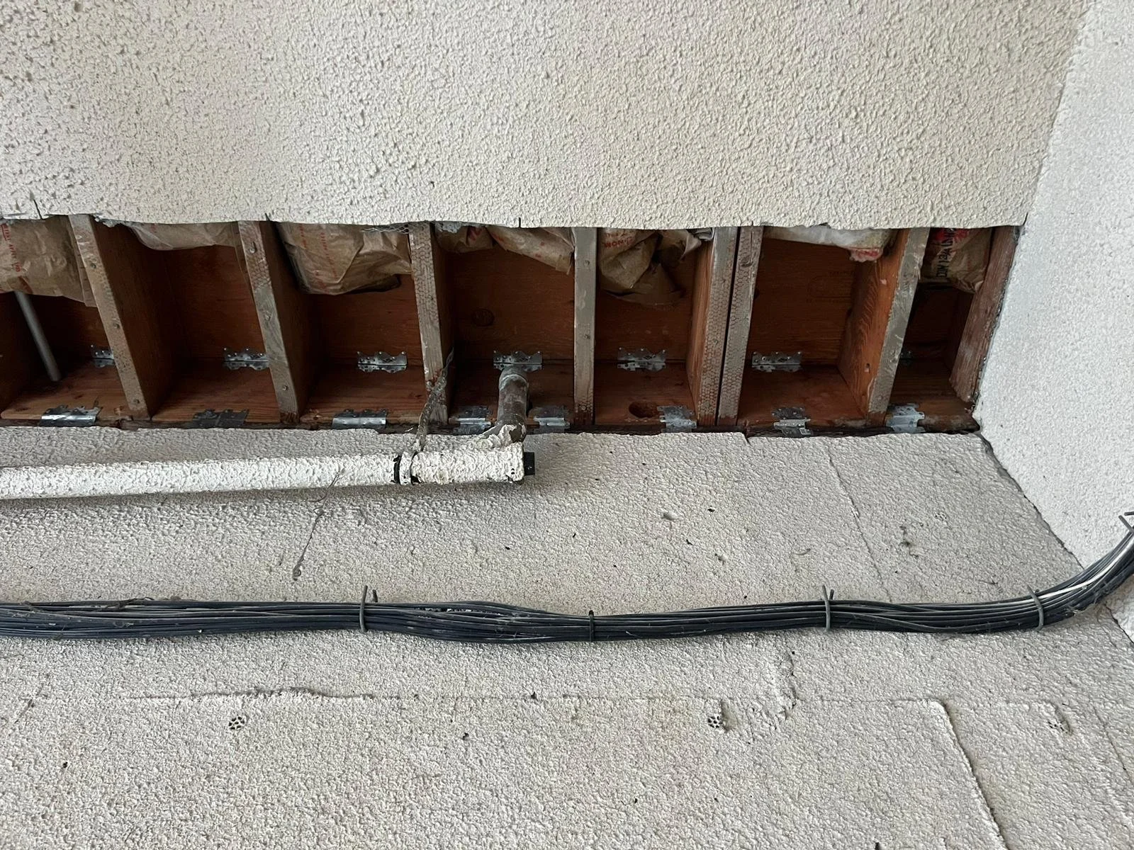 WhatsApp Image 2024-01-04 at 8.13.52 AM.jpeg