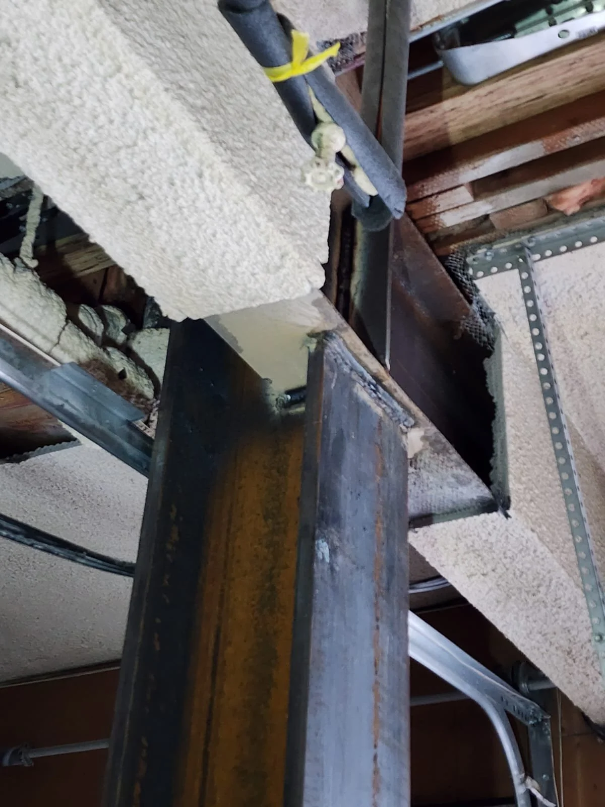 WhatsApp Image 2024-03-07 at 8.22.20 AM.jpeg