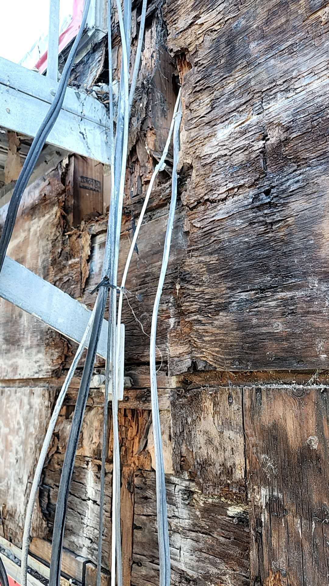 WhatsApp Image 2025-09-04 at 6.38.26 AM (2).jpg