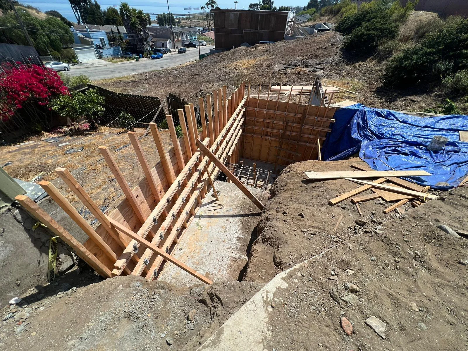 WhatsApp Image 2023-08-24 at 3.09.57 AM.jpg