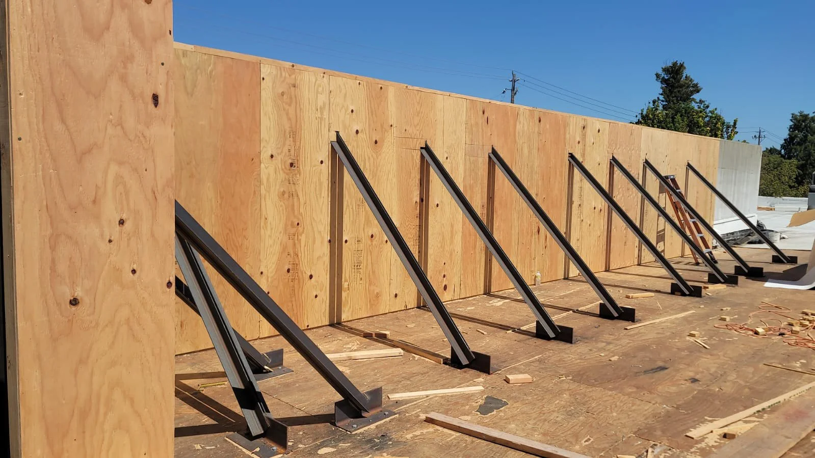 WhatsApp Image 2022-07-12 at 3.17.40 PM.jpg