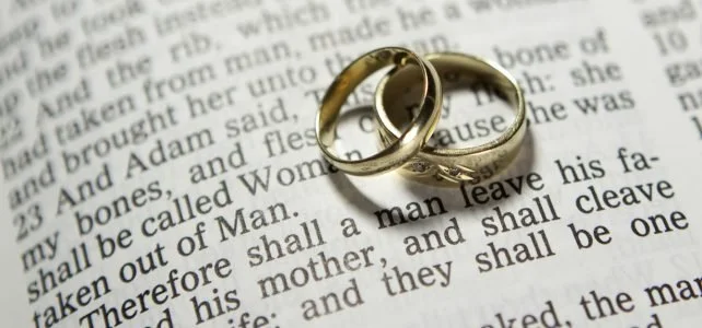 Artifice Sex and Marriage Purity