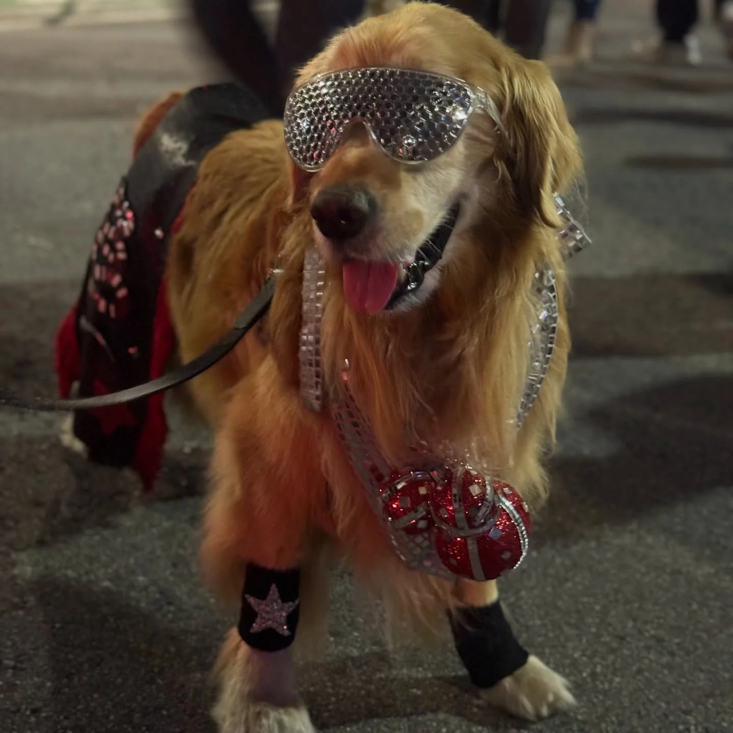 When life gives you disco 🪩