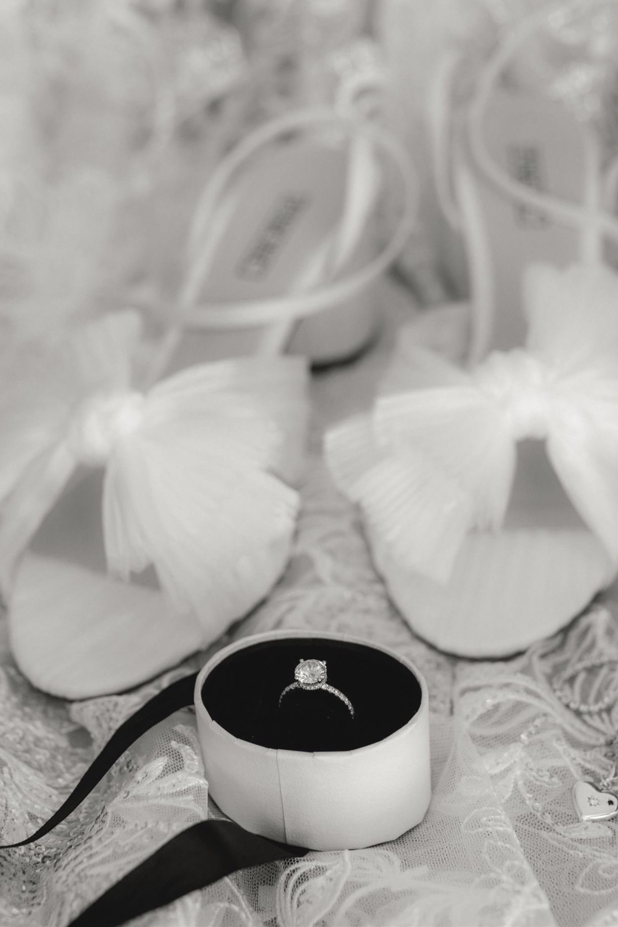 SarahLachlan_CrookedRiver_KristieCarrickPhoto_B%26W-89_websize.jpg