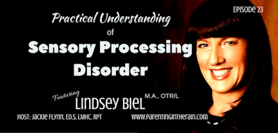 23: Practical Understanding of Sensory Processing Disorder
