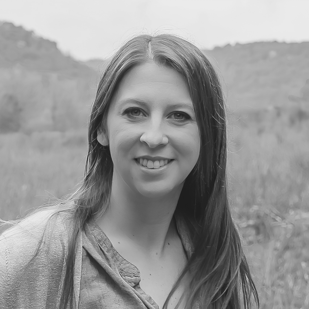Ann Meehan