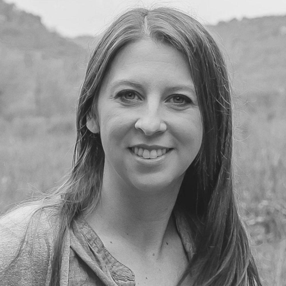 Ann Meehan