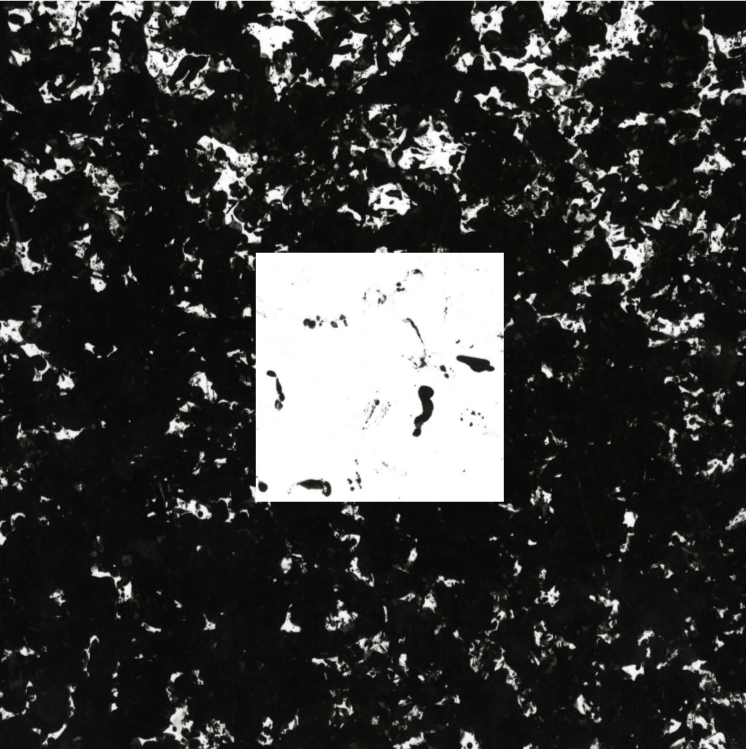 Texture Water Bottle Square WB.png