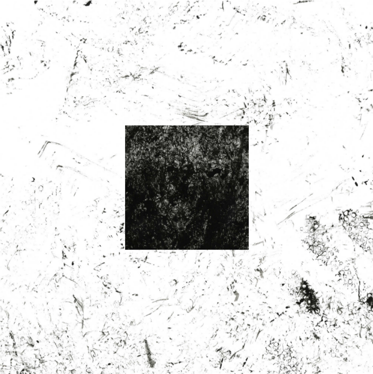 Texture Paper Towel Square BW.png