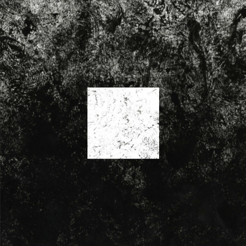 Texture Paper Towel Square WB.png