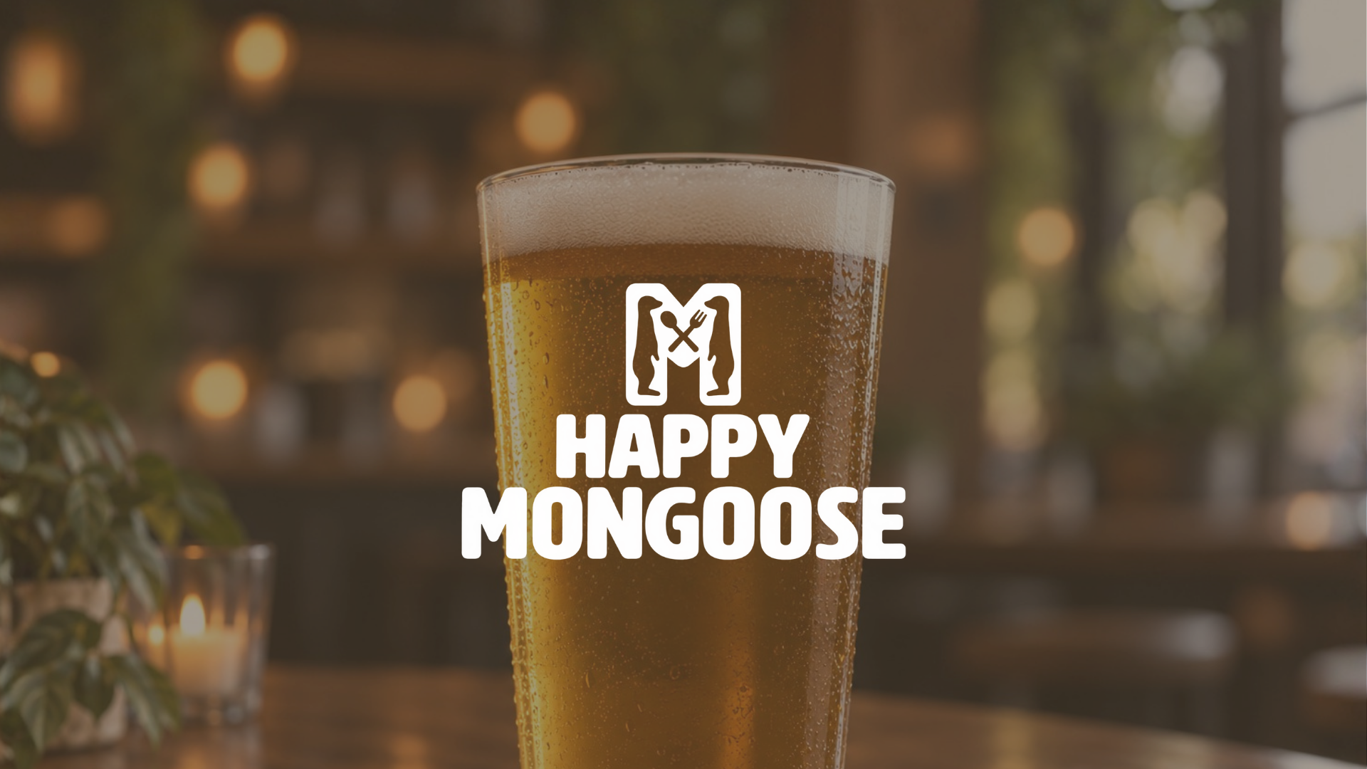 Happy Mongoose