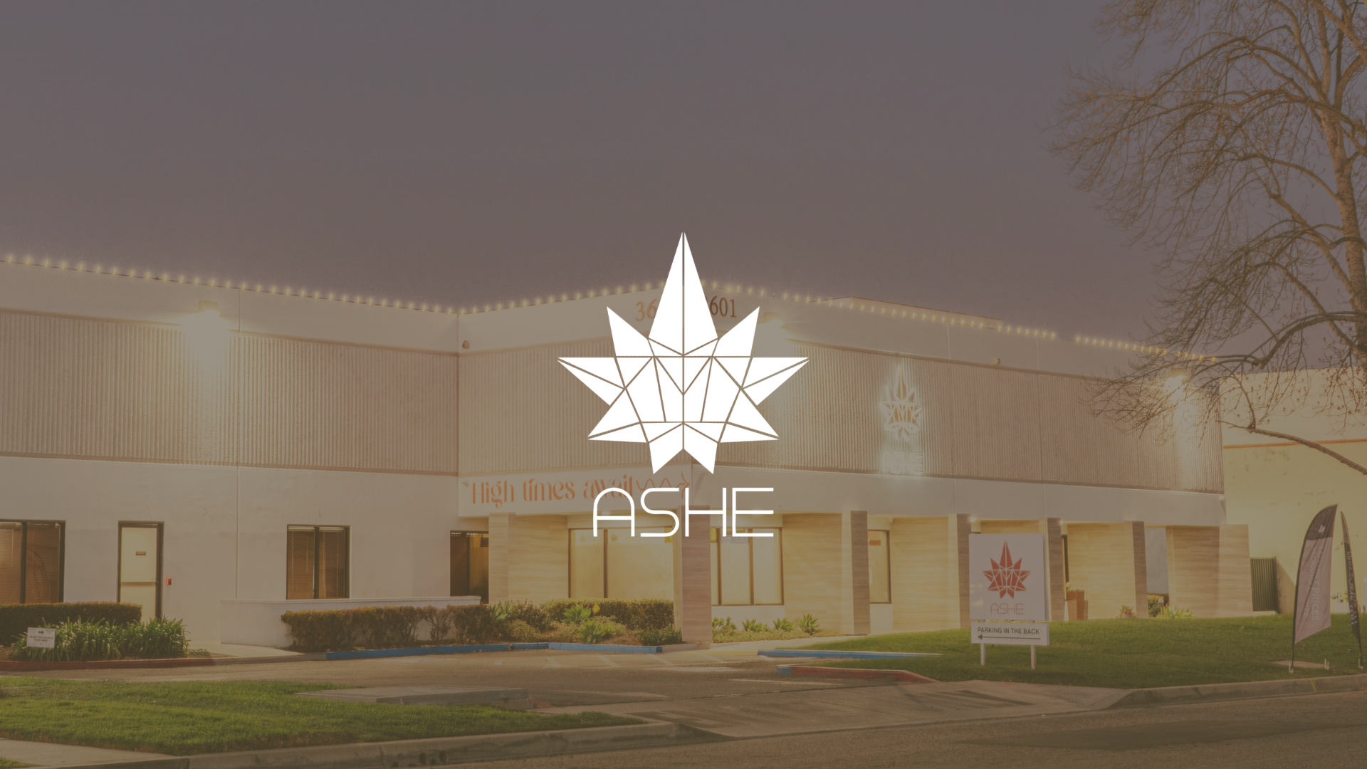 ASHE Society