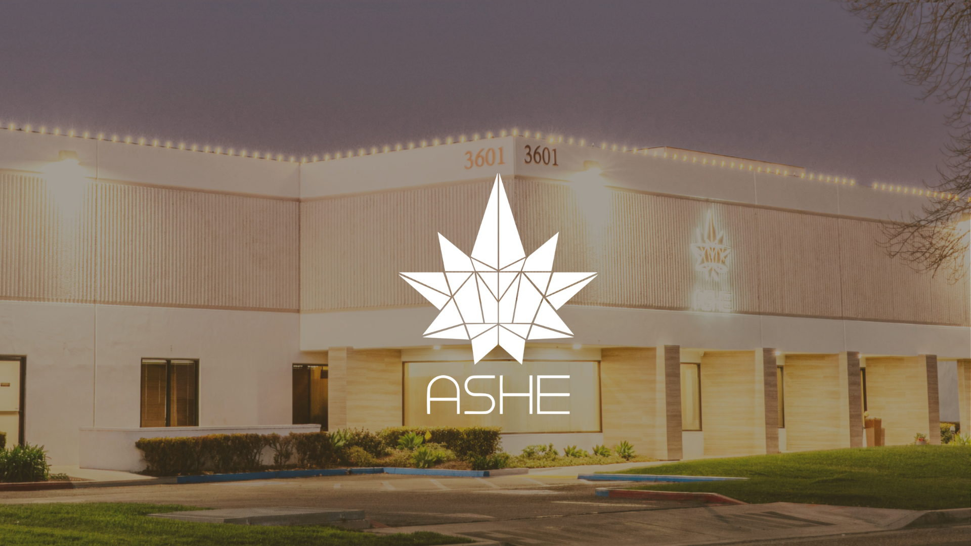 ASHE Society