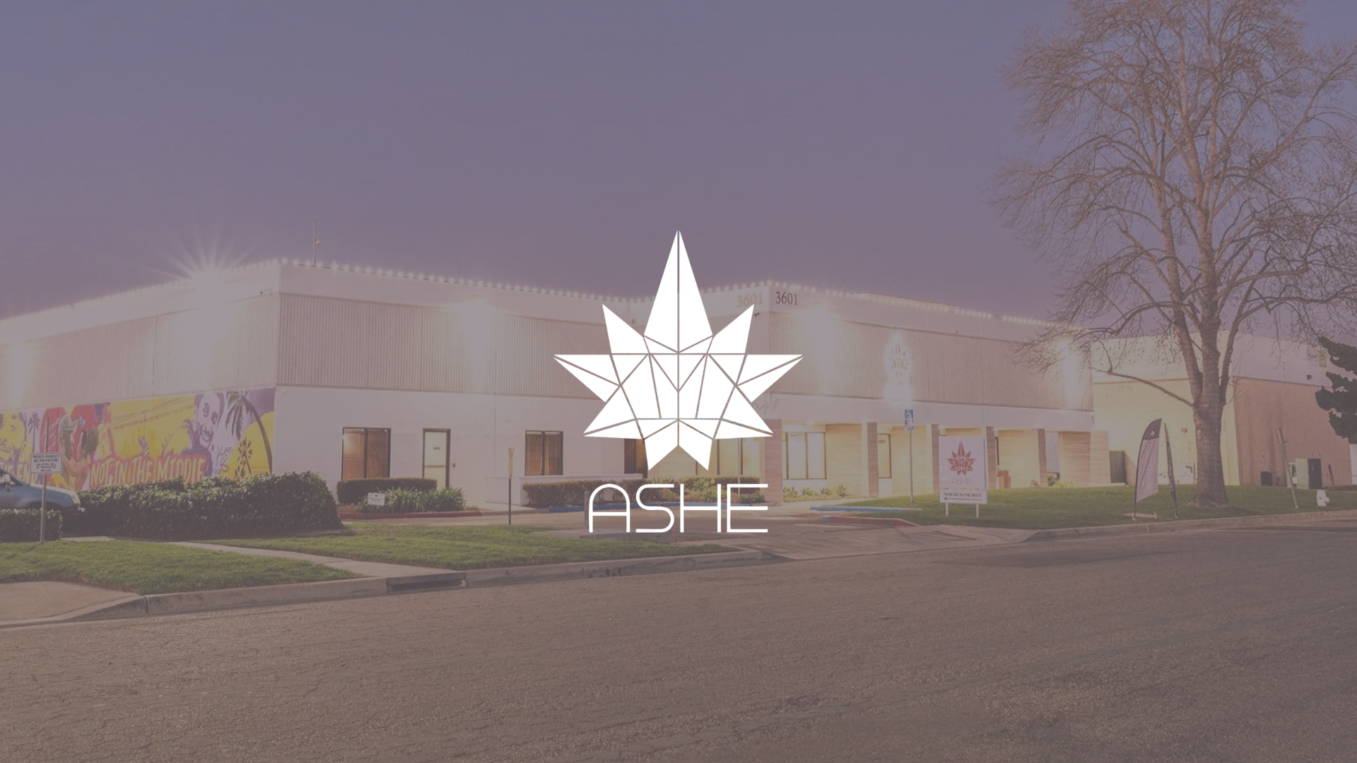 ASHE Society