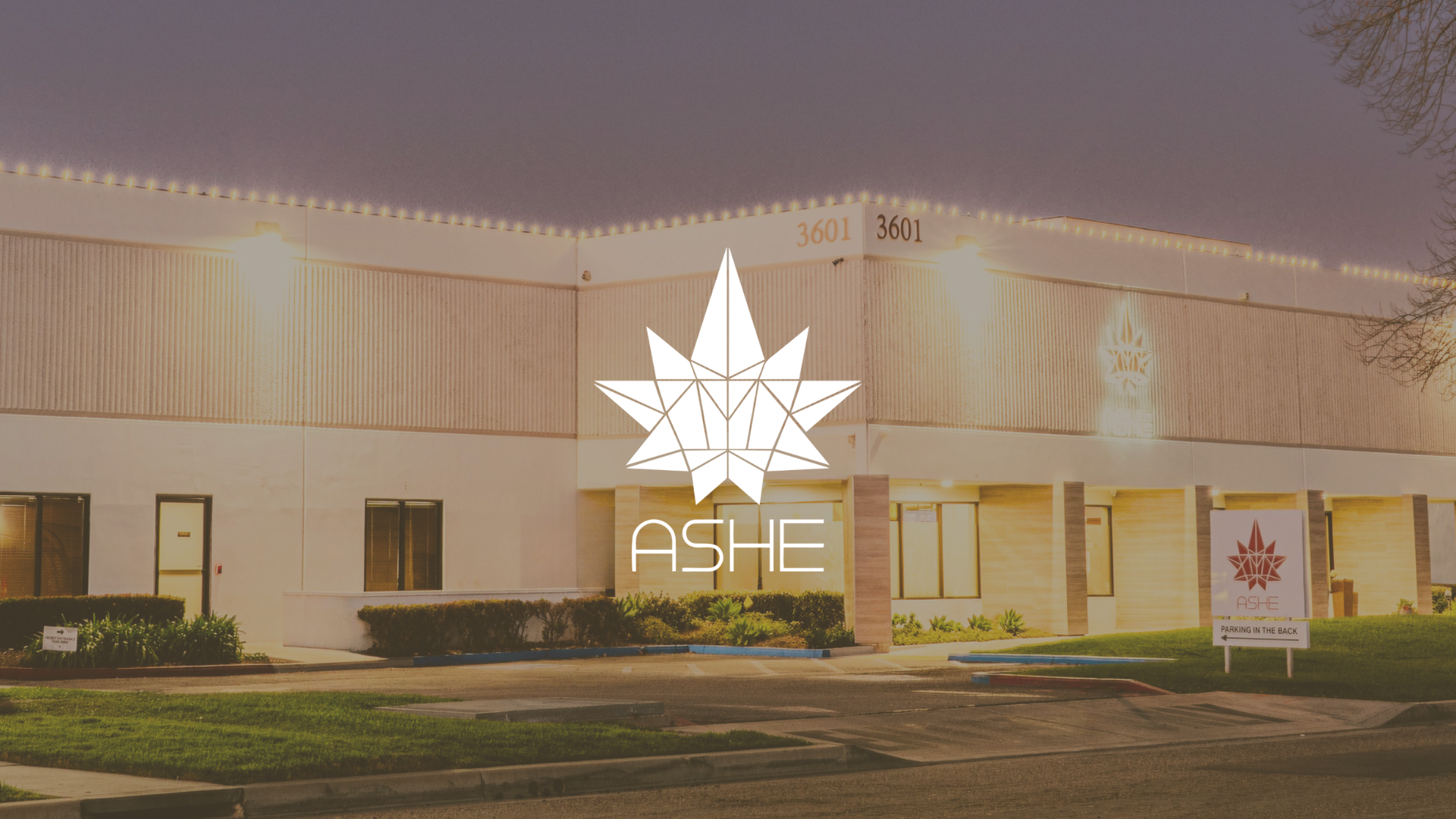 ASHE Society