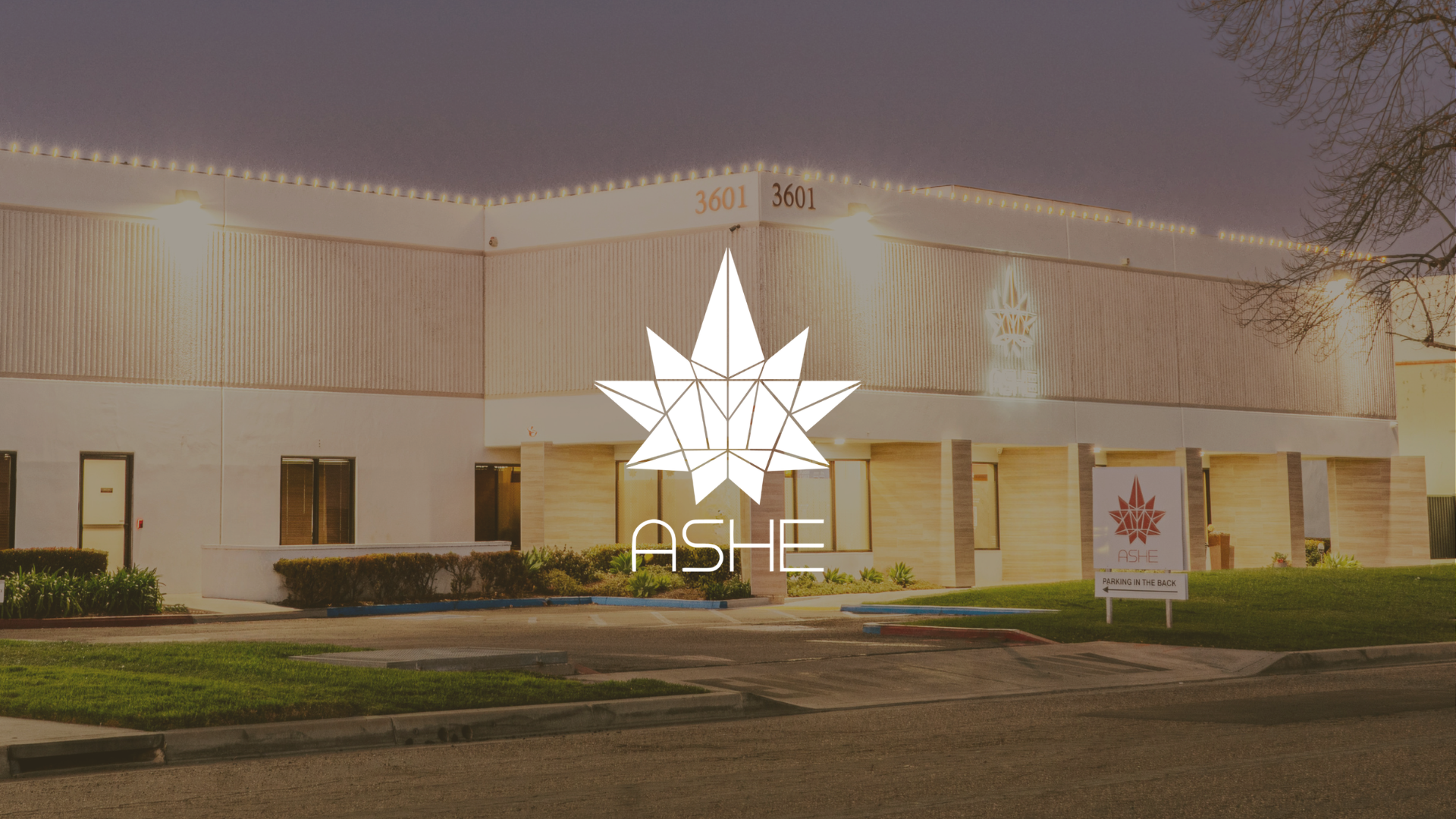 ASHE Society