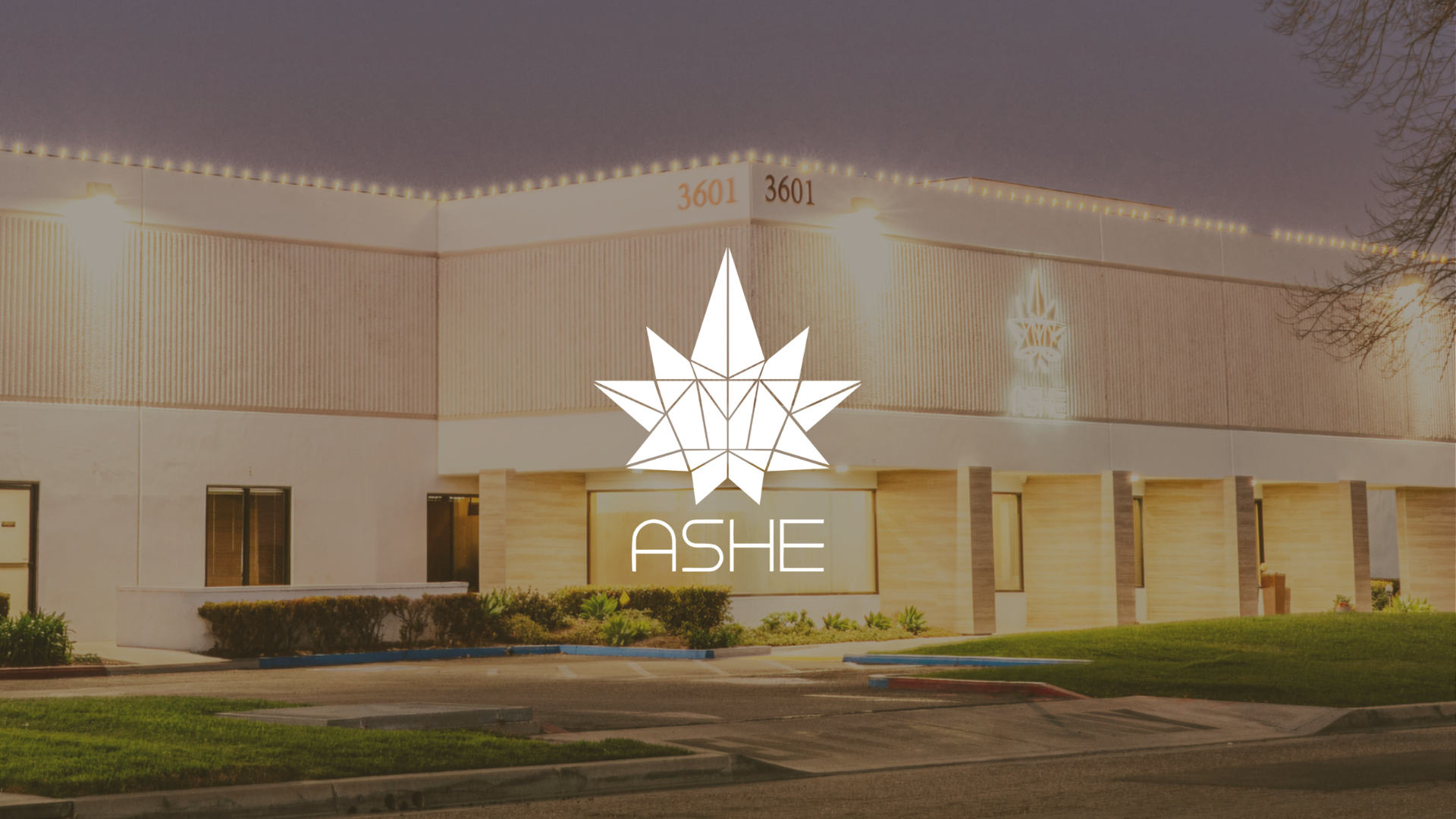 ASHE Society