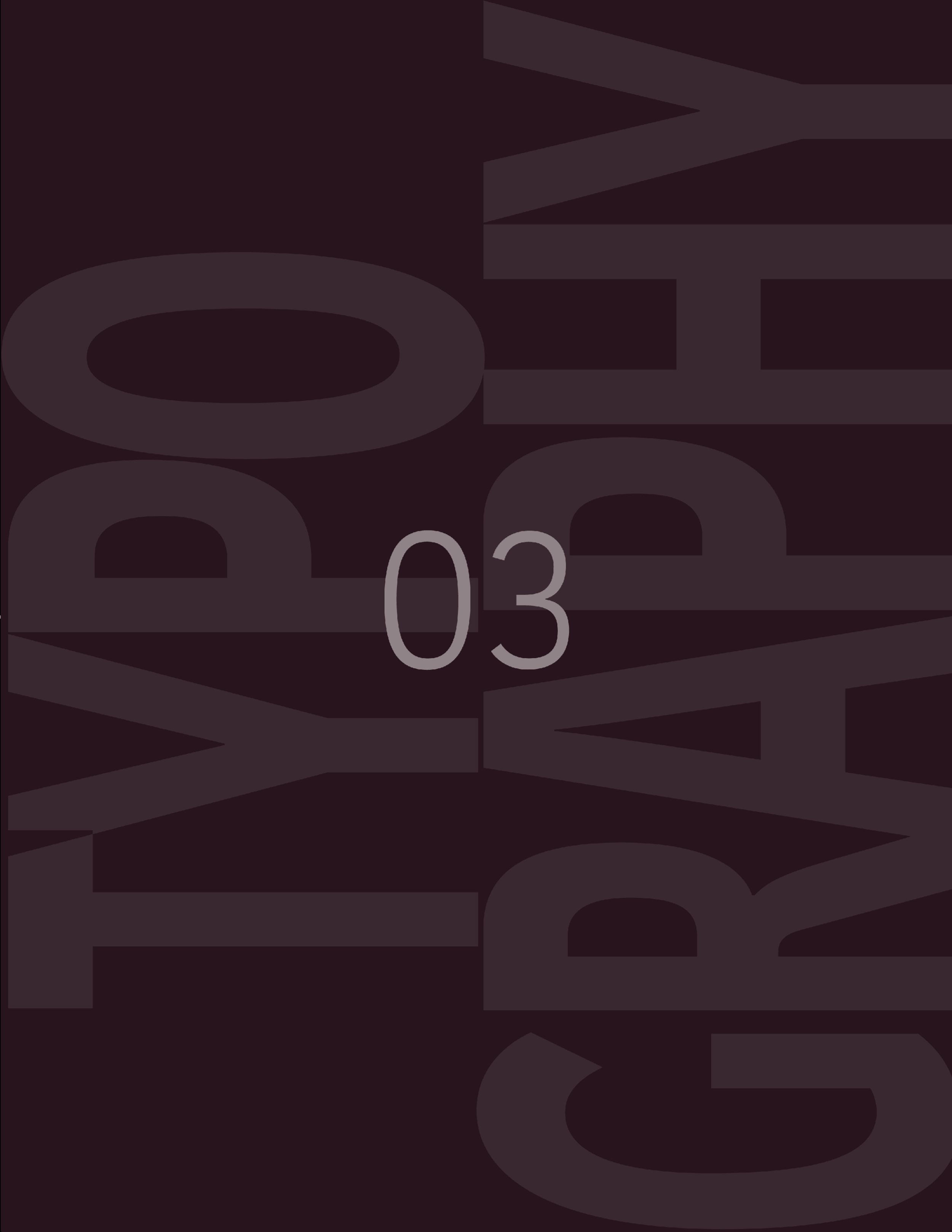 scorpio design brand guidelines15.png