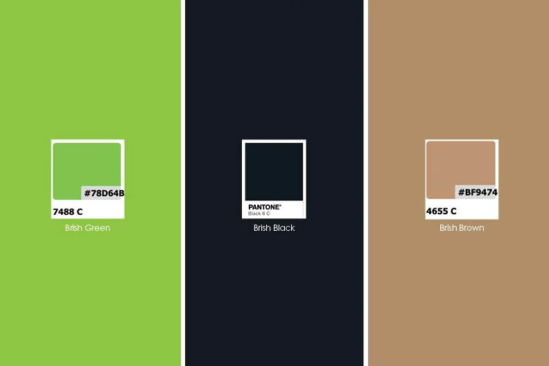 Brish Re- design 6.jpg