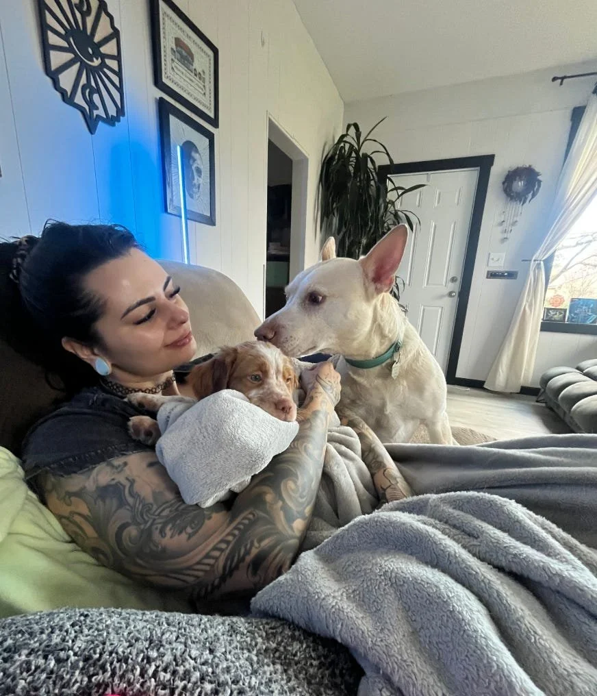 We brought home a Brittany puppy in March 2025, &amp; my life will never be the same.