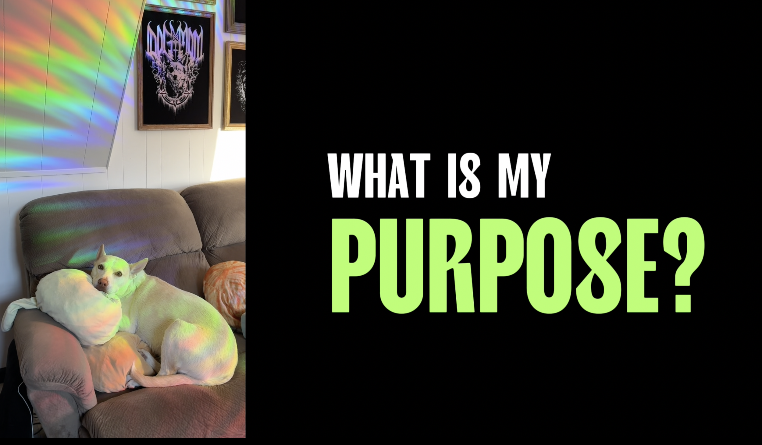 What Is My Purpose? (6/26/26)