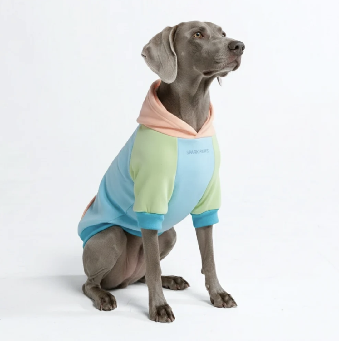 Good Dog Dog Hoodie with Spikes: Sherbet Vibes