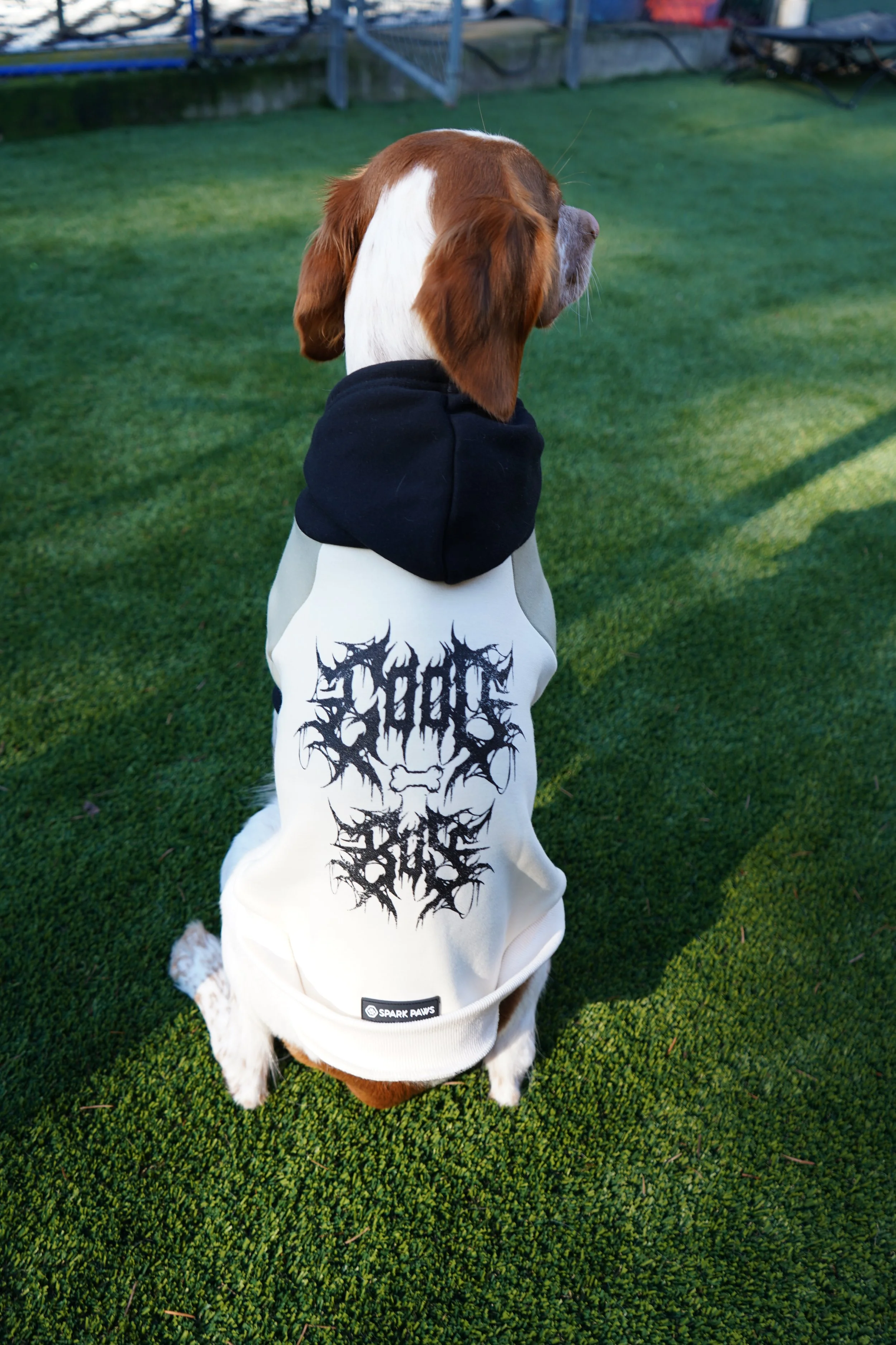 Good Dog Dog Hoodie - Earth Vibes - Spikes Optional
