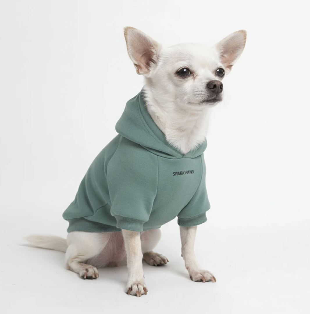 Good Dog Dog Hoodie with Spikes: Teal