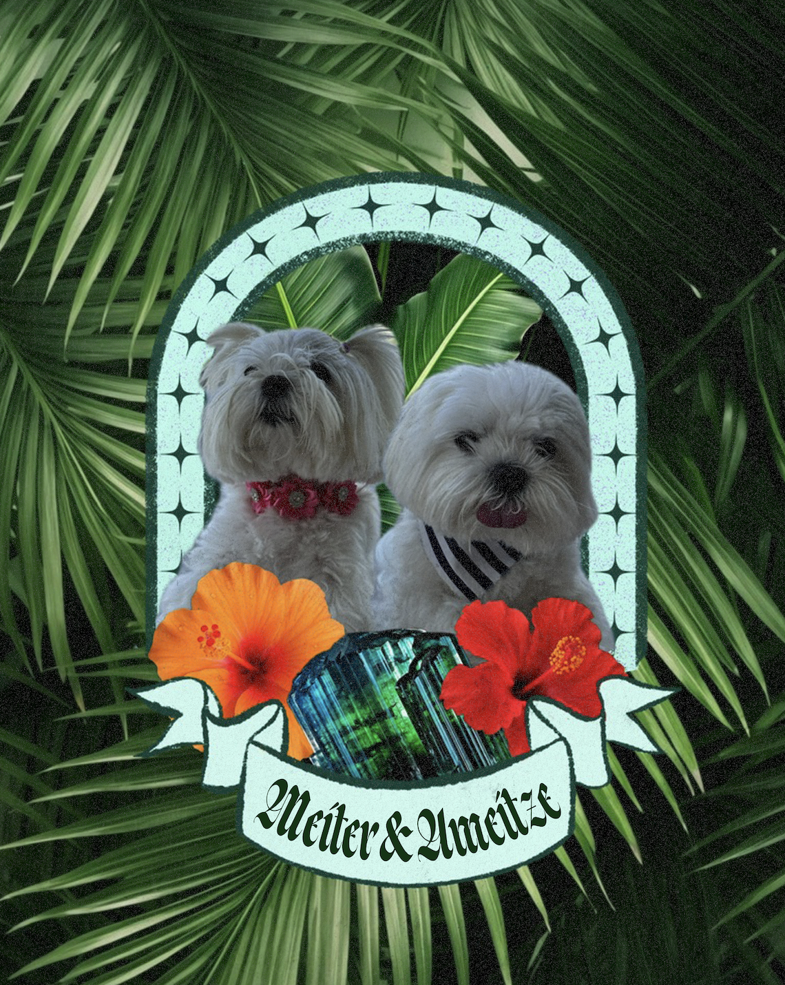 Screenshot 2026-01-27 at 8.16.47 AM.png