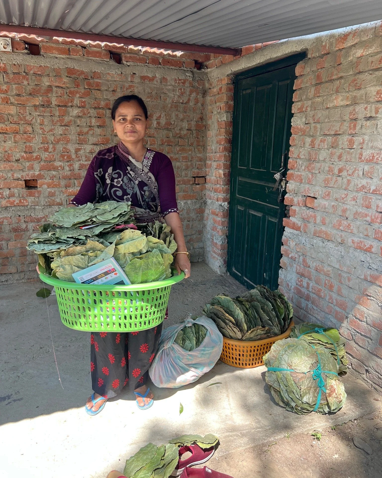 In early February 2025 we kicked off an inclusive entrepreneurship initiative in Kailari and Bardagoria rural municipalities (Kailali district). Together with LWF Nepal and the Freed Kamaiya Women Development Forum, we support women at the margins&md