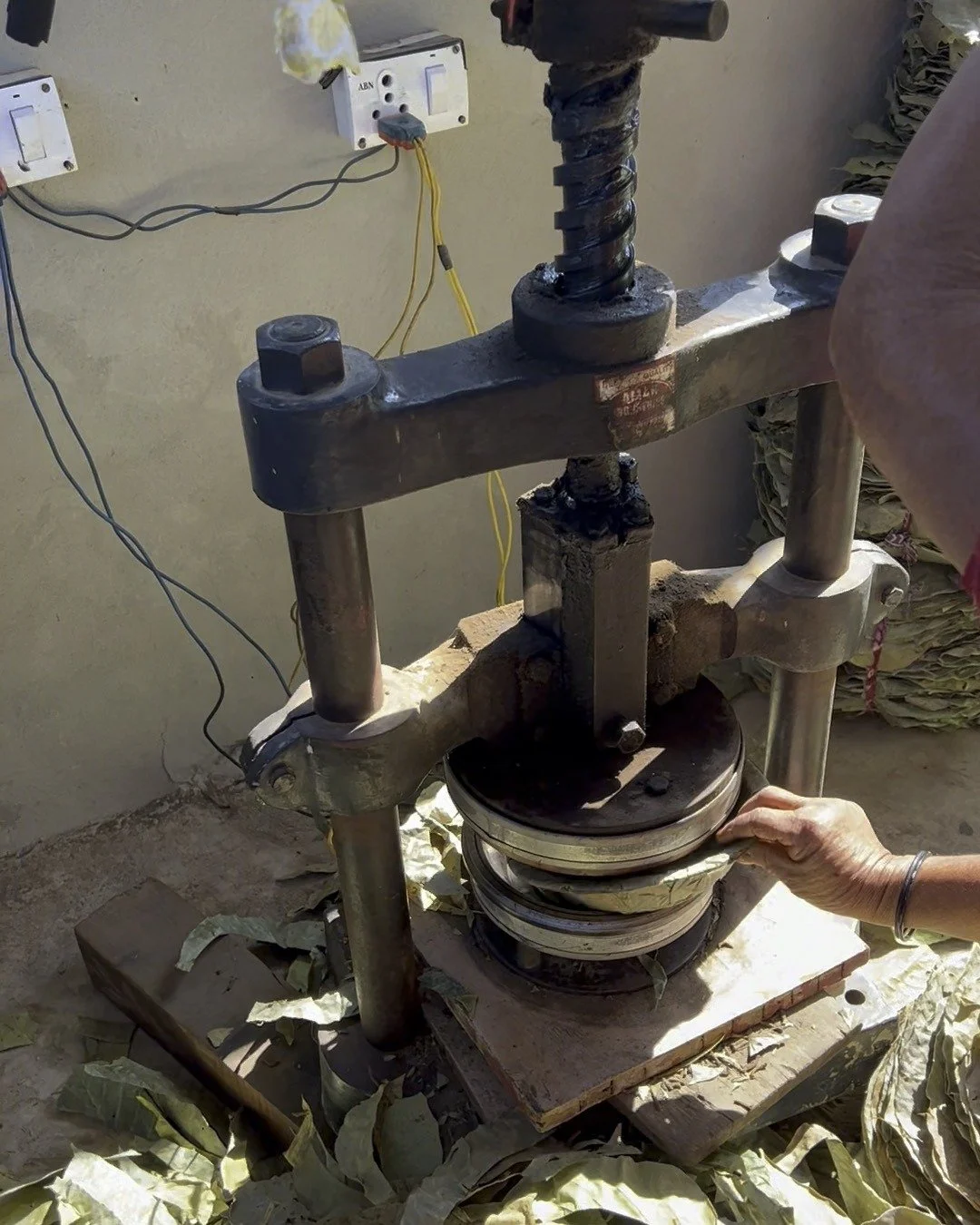 The model is ready to grow. 
With sustained support, peer-to-peer training, additional machines, and stronger buyer linkages, we can open doors for many more marginalized women — while preserving the essence of what makes this work successful: