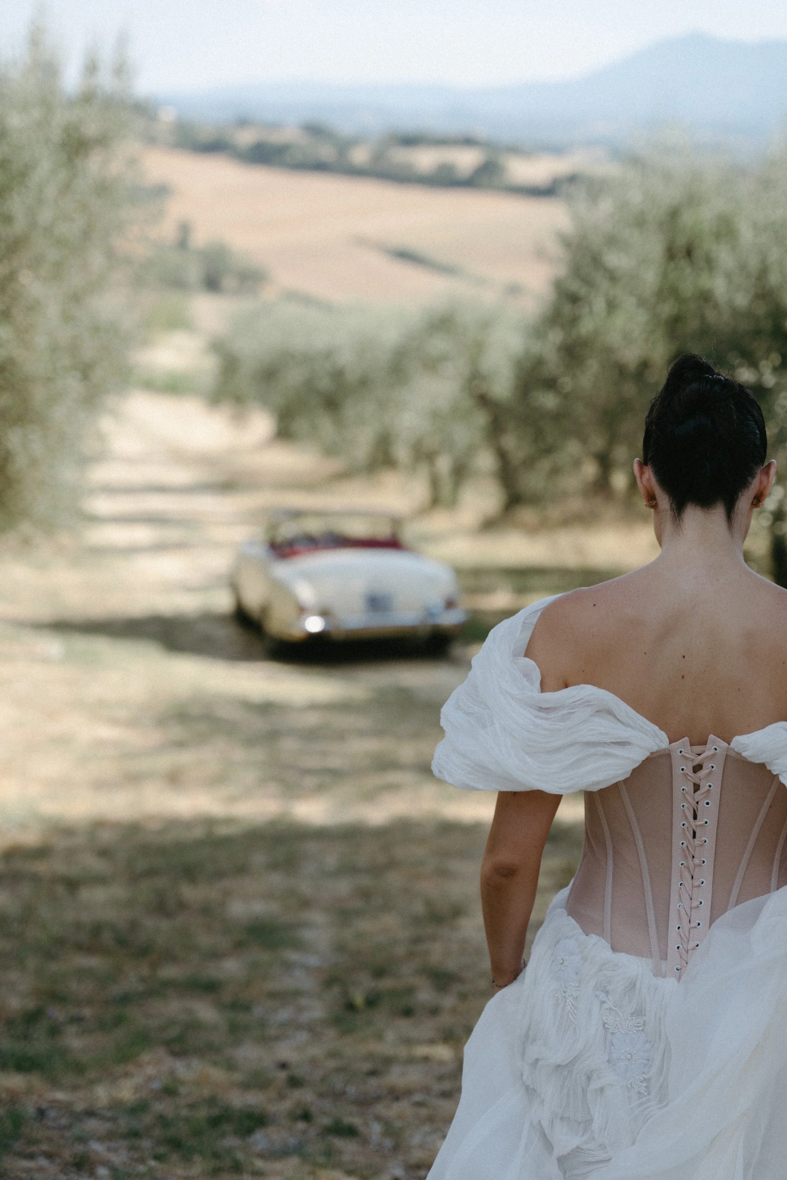 shot of Bride wearing Rara Avis Gabriella gown from behind with vineyards