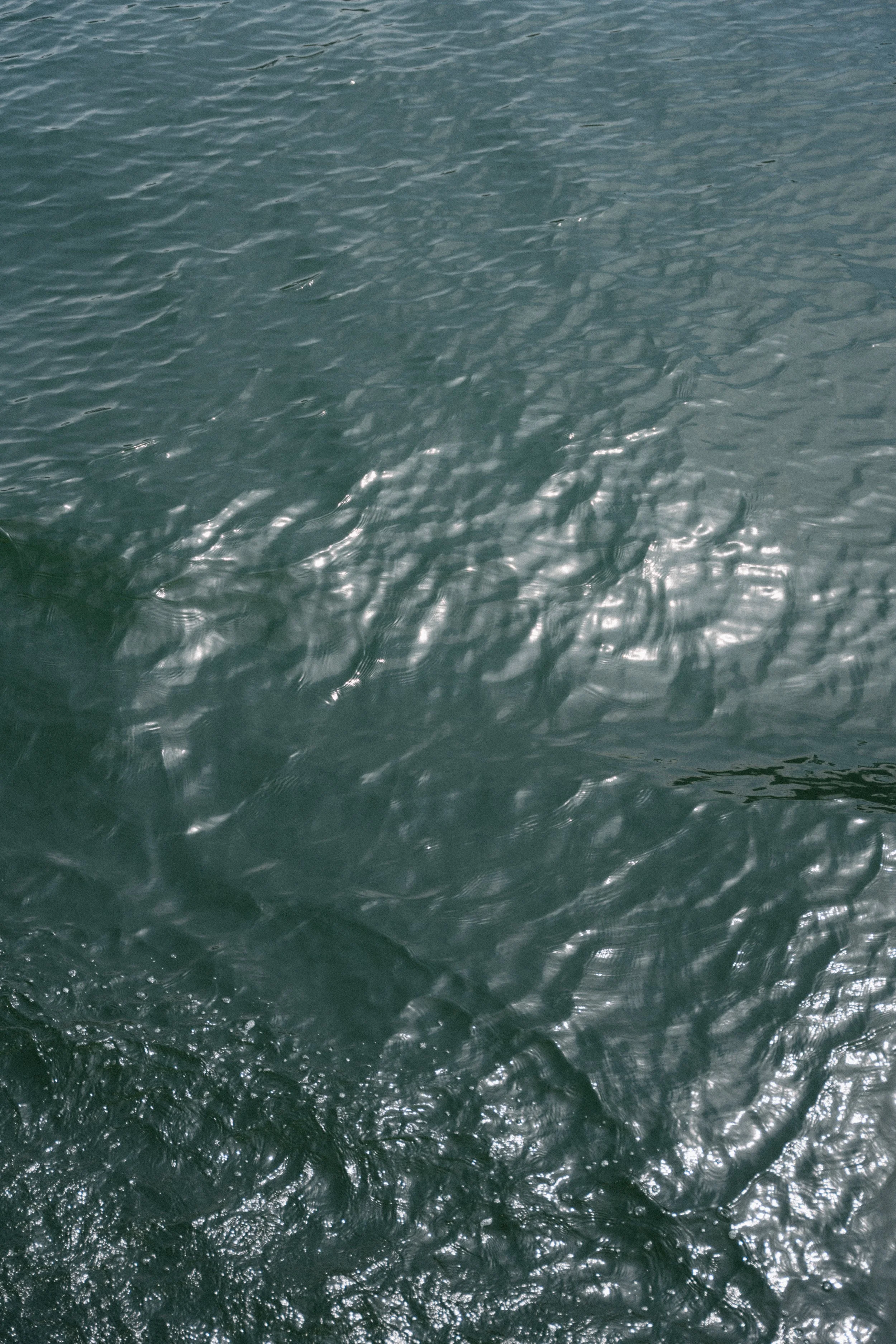 photo of lake maggiore water