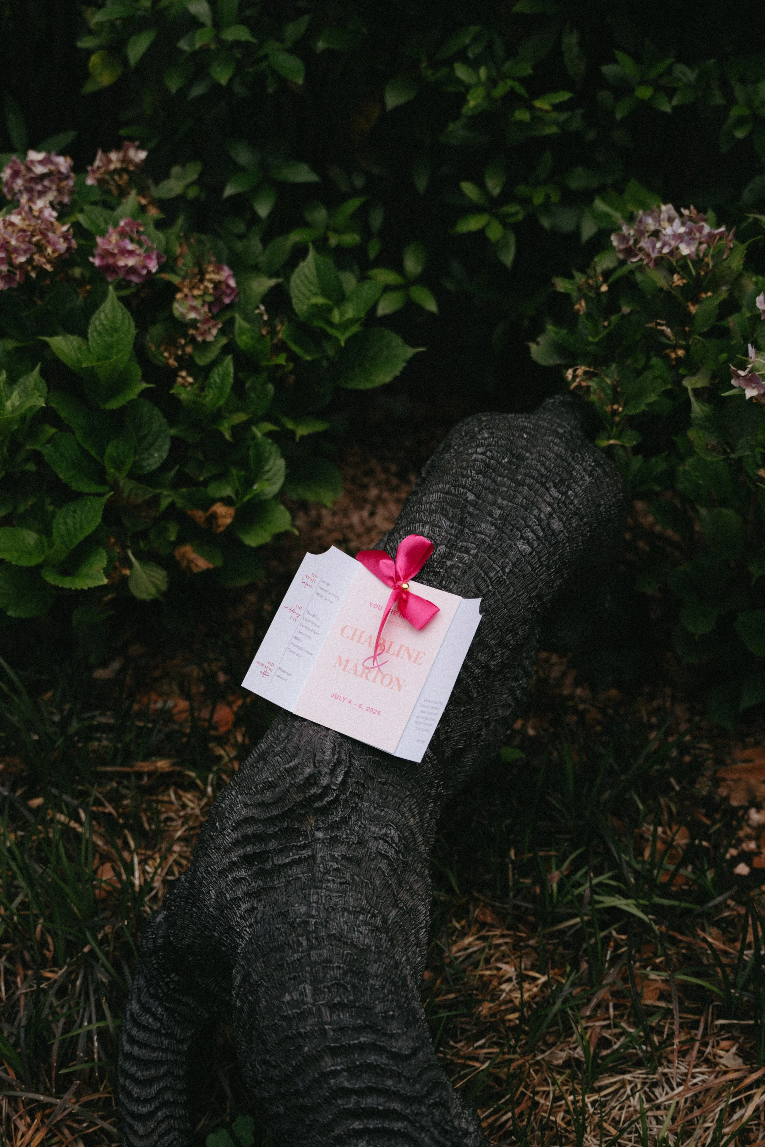 creative shot of wedding invitations 