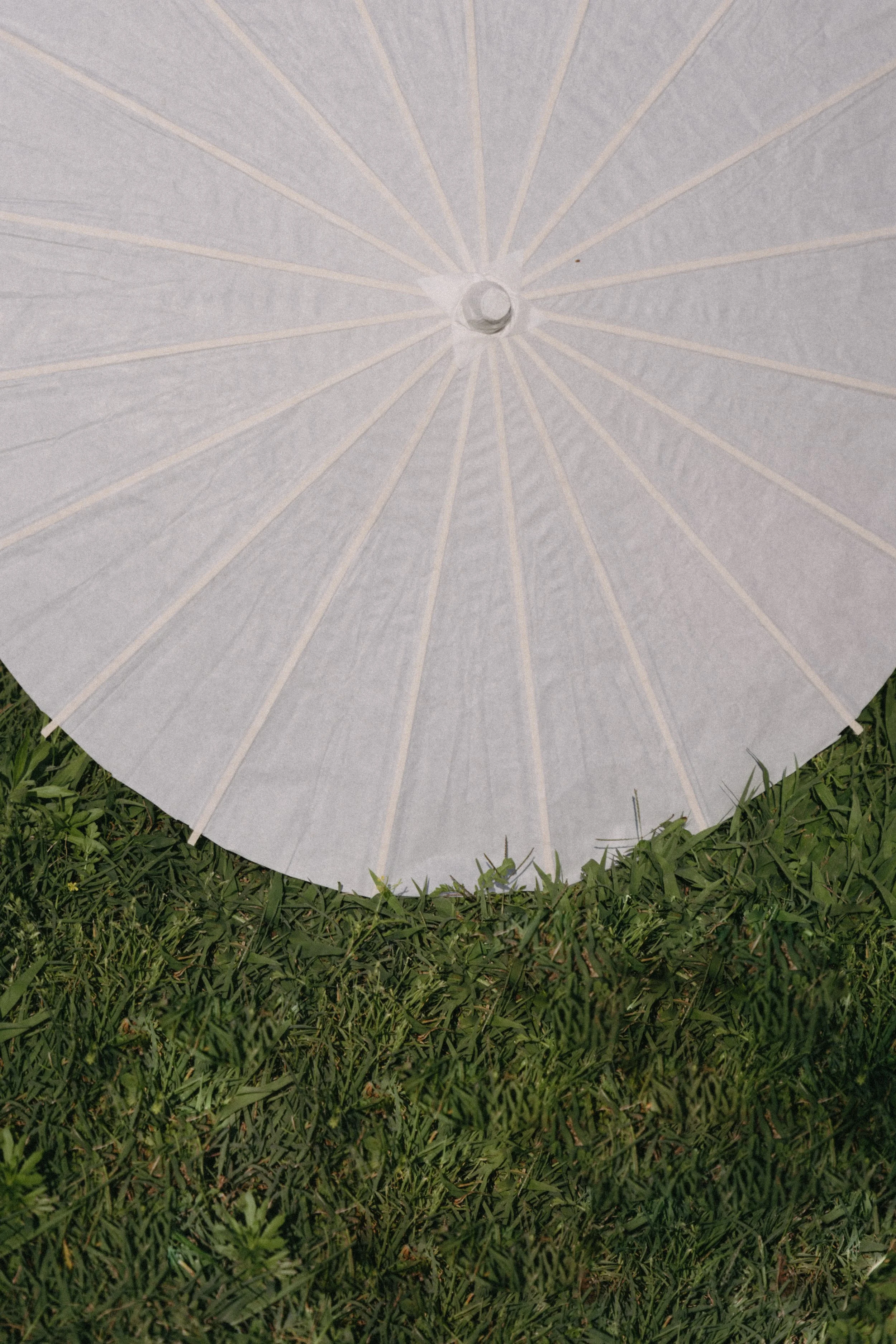 detail shot of elegant white parasol on the lawn